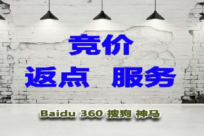 成功运用SEM服务实现品牌快速成长的案例
